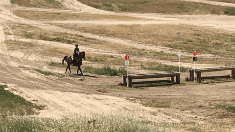 FCHP Horse Trials teaser image